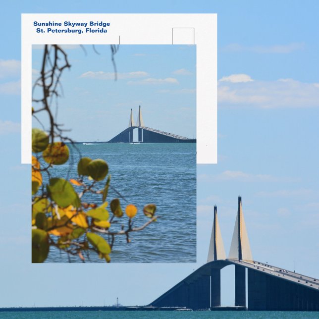 Tampa Bay Sunshine Skyway Bridge Photographic Postcard (Creator Uploaded)