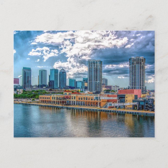 Tampa Downtown Skyline Postcard (Front)
