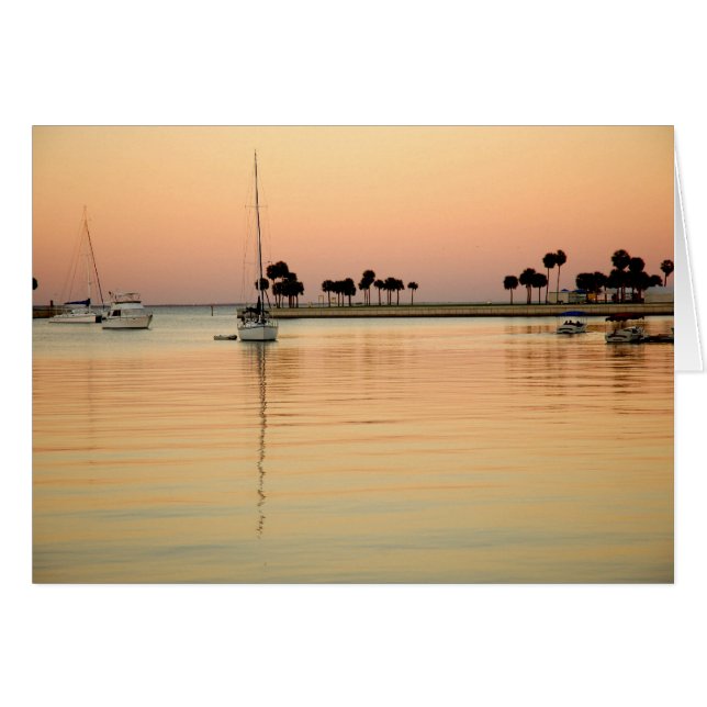 Tampa, Florida (Front Horizontal)