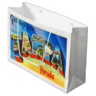 Tampa Florida FL Old Vintage Travel Souvenir