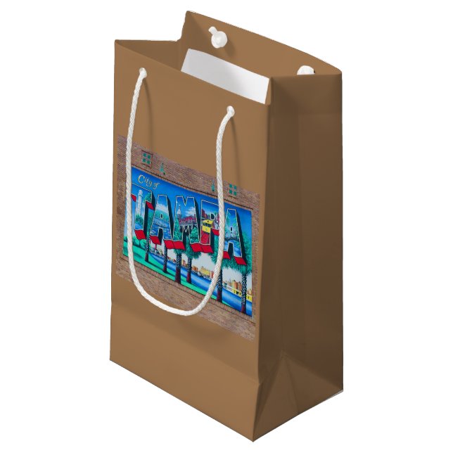 Tampa .Florida Small Gift Bag (Front Angled)