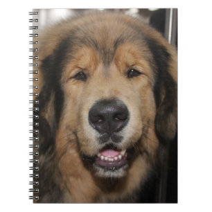 TAN & BLACK FLUFFY LARGE LEONBERGER DOG NOTEBOOK