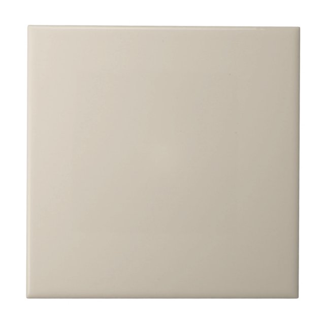Tan Canvas Square Kitchen and Bathroom Tile (Front)