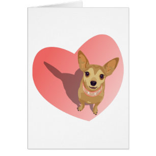 Tan Chihuahua in diamond pink collar in heart