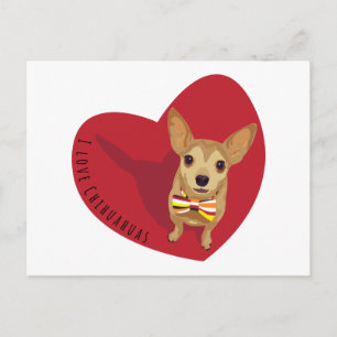 Tan Chihuahua with a bow tie in a red heart Postcard