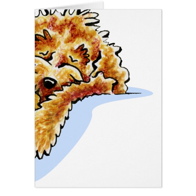 Tan Cockapoo Dream (Front)