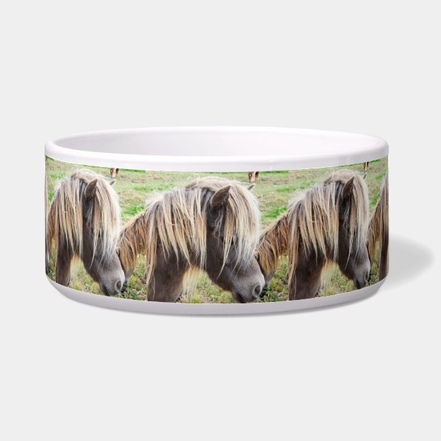 Tan Colored Shetland Pony, (Front)