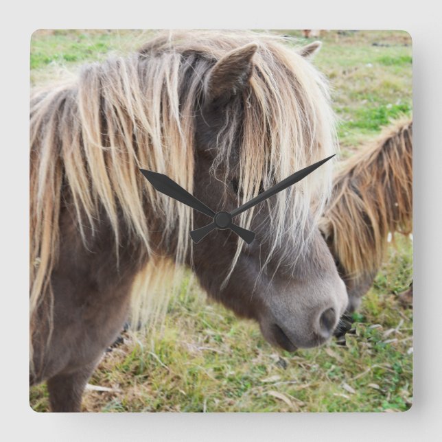 Tan Coloured Shetland Pony, Square Wall Clock (Front)