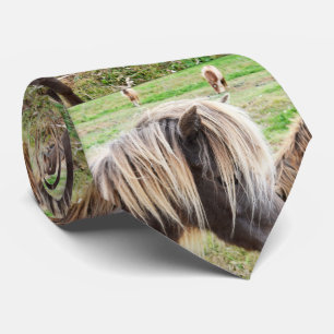 Tan Coloured Shetland Pony, Tie
