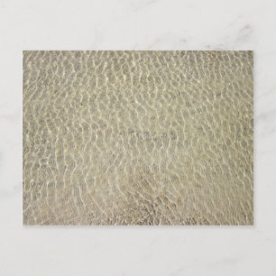 Tan Crocodile Leather Pattern Postcard
