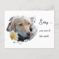 *~ Tan Dog AP61 Get Well Sad  Flower 