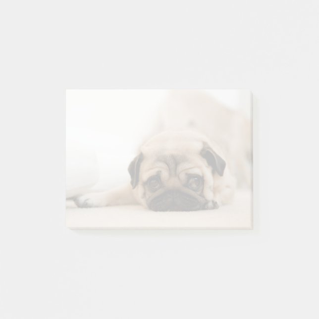 Tan Female Pug Post-it Notes (Front)