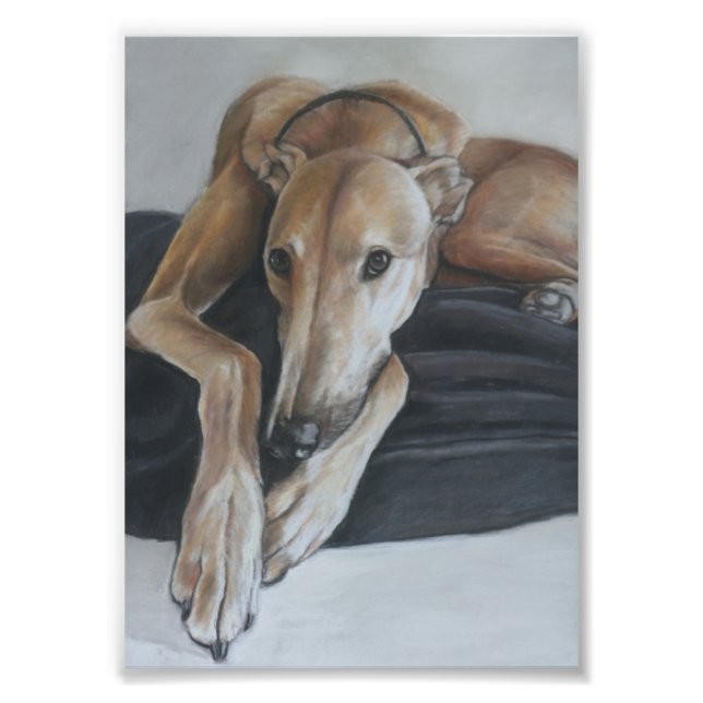 Tan Greyhound Dog Art Photo Print (Front)