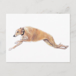Tan Greyhound Running Dog Art Postcard