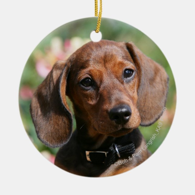 Tan Miniture Dachshund Ceramic Tree Decoration (Front)