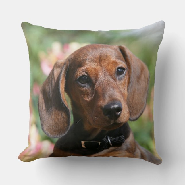 Tan Miniture Dachshund Cushion (Front)