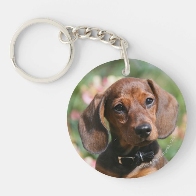 Tan Miniture Dachshund Key Ring (Front)