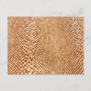 Tan Snakeskin Postcard