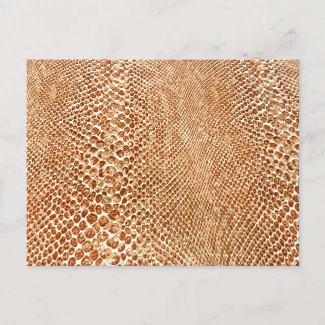Tan Snakeskin Postcard (Front)