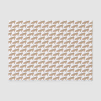 Tan T-Strap Character Shoe Dance Musical Theatre