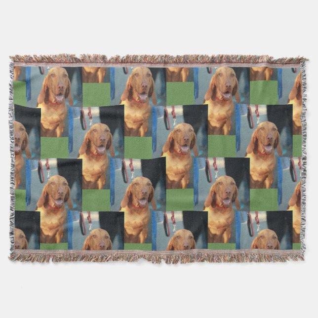 tan vizsla hound dog happy portrait throw blanket (Front)