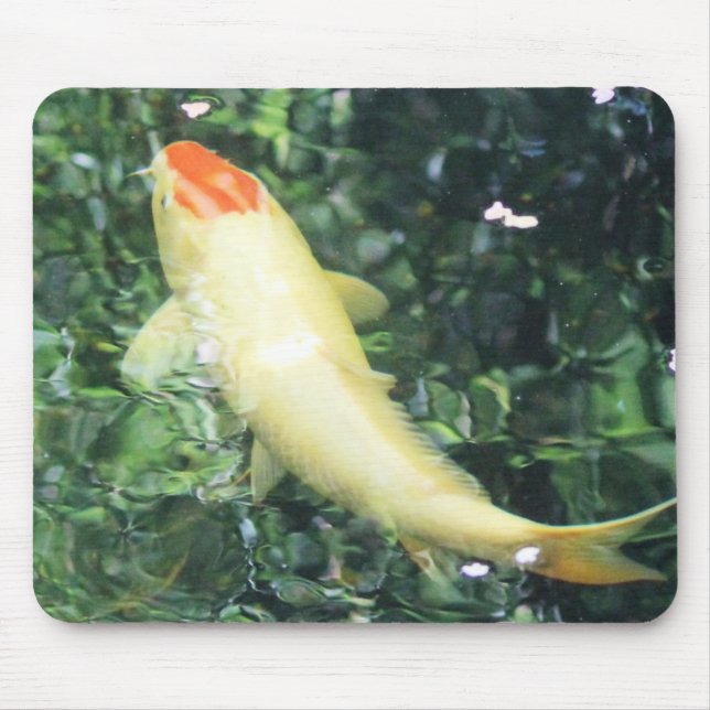 Tancho Koi Feeding Mouse Pad (Front)