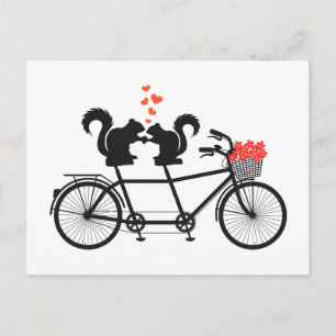 tandem bicycle with squirrels postcard