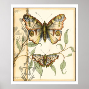 Tandem Butterflies Over Green Leaves Poster