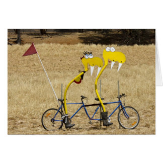 Tandem Snakes
