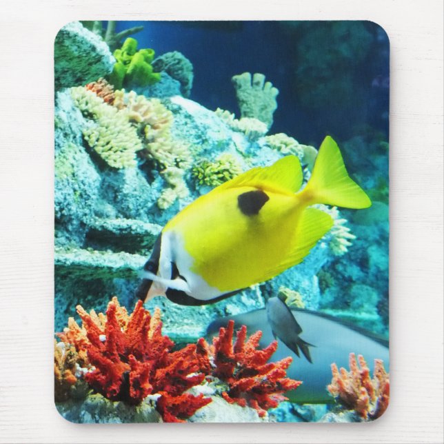 Tang Mouse Pad (Front)