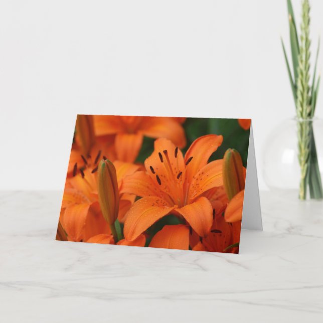 "Tangerine Beauty" Note Card (Front)