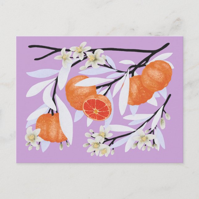 Tangerine Citrus Blooming Branches Floral Lilac Postcard (Front)