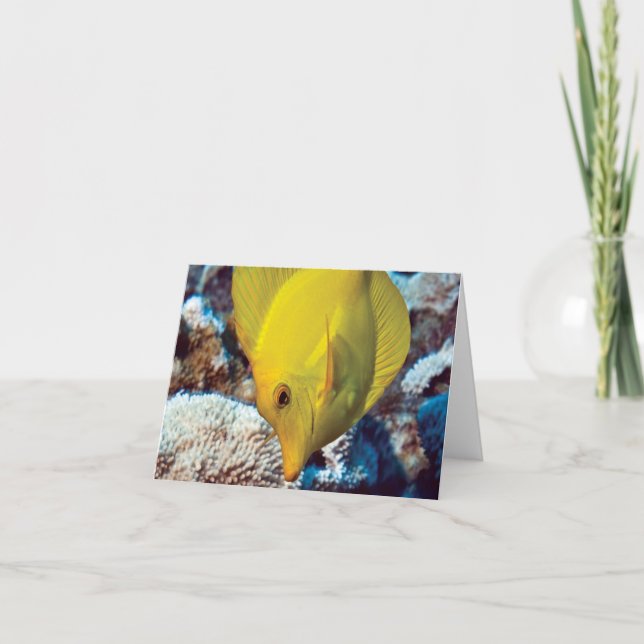 TangEssence Note Card (Front)