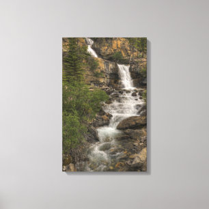 Tangle Falls Canvas Print