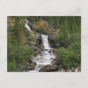 Tangle Falls Postcard