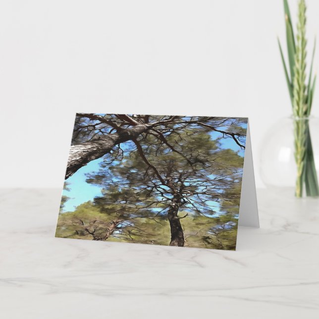 Tangled Branches Of Pine Trees Bizarre Perspective Card (Front)