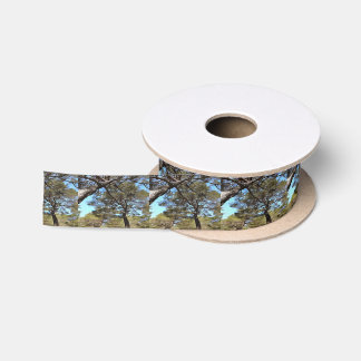 Tangled Branches Of Pine Trees Bizarre Perspective Satin Ribbon