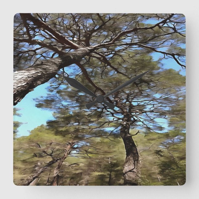 Tangled Branches Of Pine Trees Bizarre Perspective Square Wall Clock (Front)