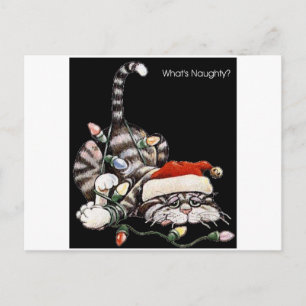 Tangled Cat Postcard