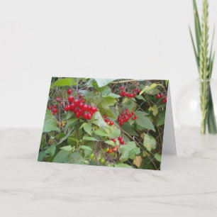 "Tangled Vine" Get Well Card