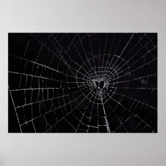 Tangled Web Poster