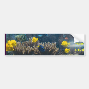 TANGS A LOT! BUMPER STICKER