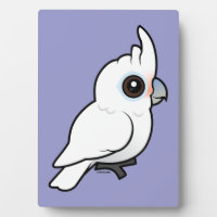 Tanimbar Corella