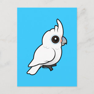 Tanimbar Corella Postcard