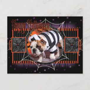 Tank - English Bulldog - Decap Postcard