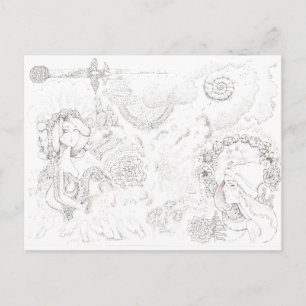 tansy banditas postcard