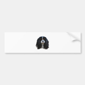 Tansy Bumper Sticker