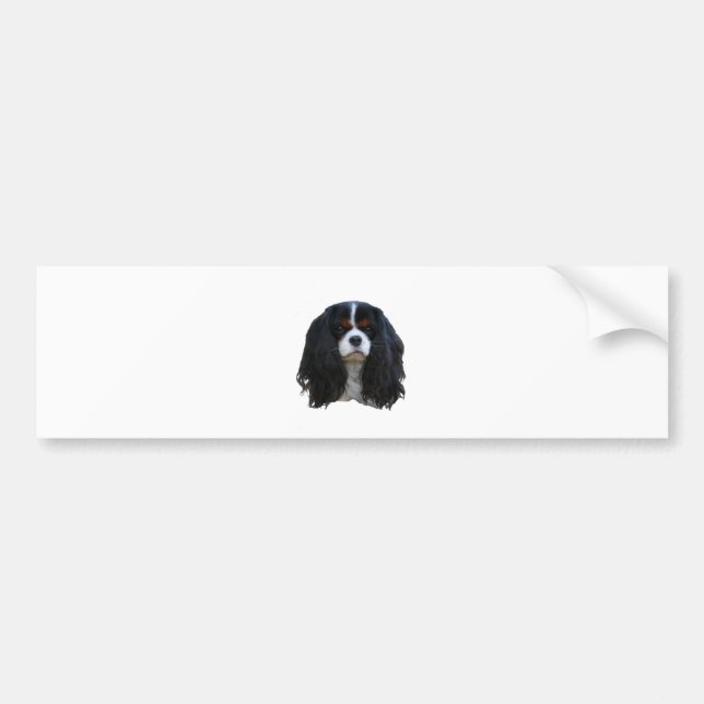 Tansy Bumper Sticker (Front)