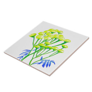 Tansy on a Ceramic Tile