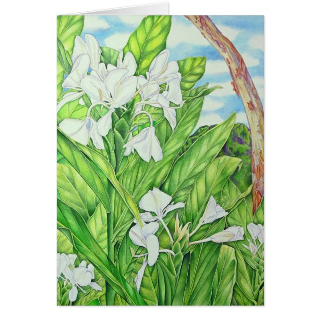 Tantalus White Ginger (Front)